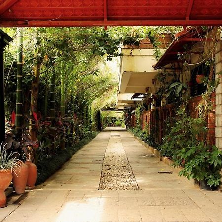 The Green Path Eco Hotel Bangalore Luaran gambar